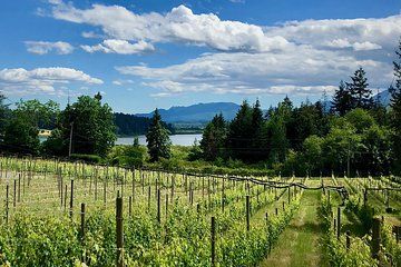 Cowichan Valley Premium Wine Tour