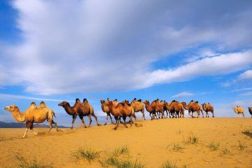 Agadir Souss Massa Park National Visit