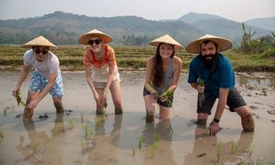 Luang Prabang: Kuang Si Waterfall & Rice Farm Tour