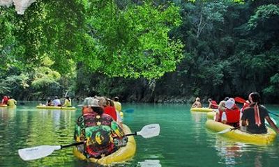 John Gray's Hong by Starlight Kayak Tour with Transfers