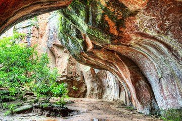 Adventure Through Toro Toro National Park. 3 Days 2 Nights. English Guide