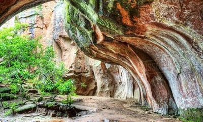 Adventure Through Toro Toro National Park. 3 Days 2 Nights. English Guide