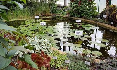 Liberec Botanical Garden Entrance Ticket