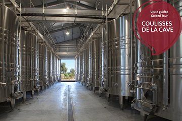 Behind the scenes of the cellar