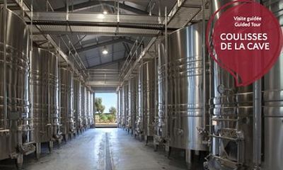 Behind the scenes of the cellar