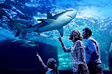 Night at the Aquarium Tour & 2 Course Dinner