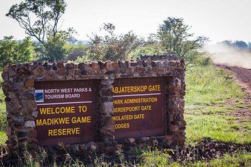 Madikwe Game Reserve Day Tour (Minimum per booking: 5 People)