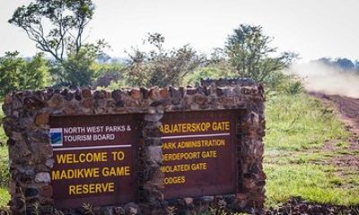 Madikwe Game Reserve Day Tour (Minimum per booking: 5 People)