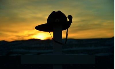 Full day Australian Battlefields Tour