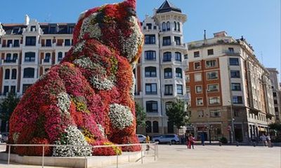 Bilbao & Guggenheim Museum from Vitoria