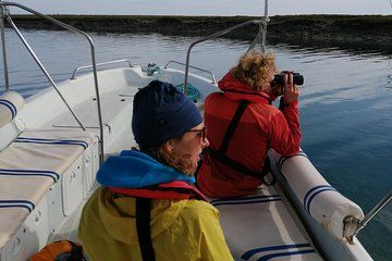 Birdwatching on Solar Boat Ria Formosa