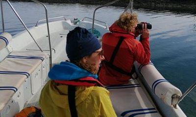 Faro Birdwatching on Solar Boat Ria Formosa
