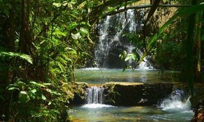Port of Suva - Private Tour
