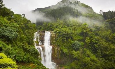 Nuwera Eliya Tuk-Tuk Trails