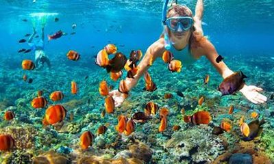 Phi Phi Half Day Tour Speed Boat Tour