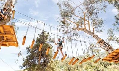 Catalina Island Aerial Adventure