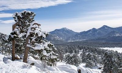 Rocky Mountain National Park Tour - Winter In The Park - Estes Park Guided Tours