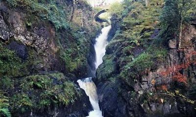 Northern Lakes - Full Day - Up to 4 People