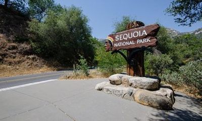 Sequoia Park Private Tour