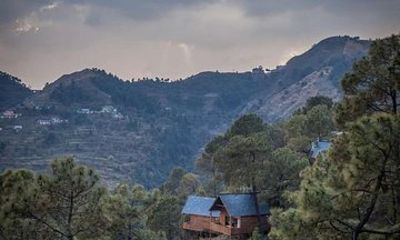 Shimla Treehouse Stay