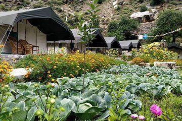 Camping in Sangla (1n2d)