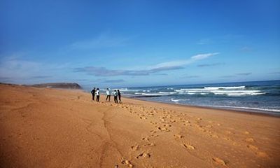 1 day surfing with Atlantic Coast Surf School