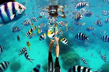 Bunaken Island 3 Point Snorkeling, with Lunch, and transfer.