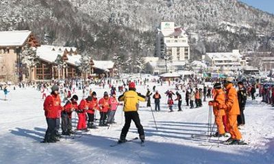 MONA YongPyong or Alpensia Private Ski Resort Day from Seoul