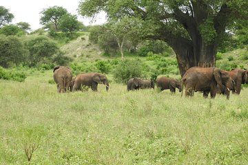 5 Days Classic Adventure(Budget Camping)