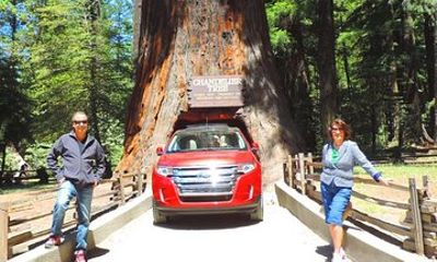 Redwood National Park Tour 2-Day Private Tour Package Hotel Included