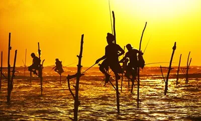 Southern Sri Lanka Sightseeing Private Day Trip