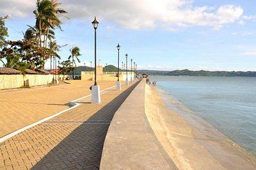 Iloilo City Tour (Garin Farm, Molo Mansion/Church, Vanishing Mansion)