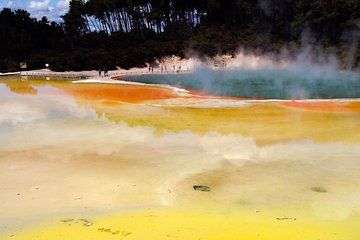 Private Small Group Tour to Wai-O-Tapu & Te Puia Rotorua ex AKL