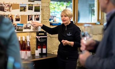 Full-Day Marlborough Scenic and Wine Tour from Picton