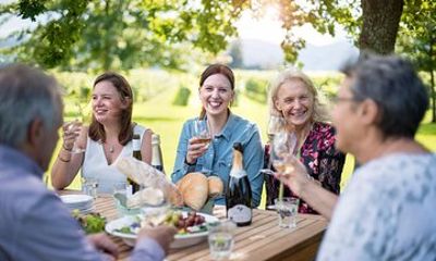 Full-Day Marlborough Scenic and Wine Tour from Picton