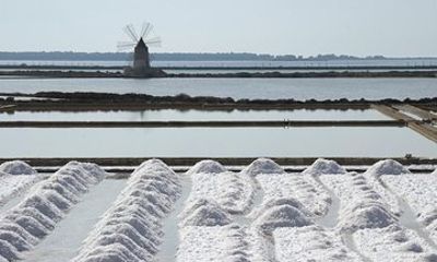 Afternoon Saline Tour