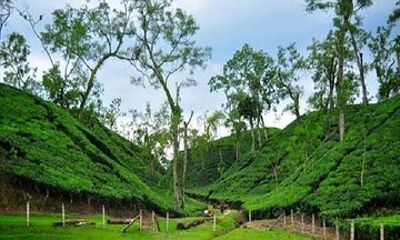 Sreemangal Tour! Sylhet, Bangladesh