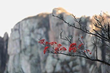 2-Day Private Sightseeing Tour of Qufu City Highlights and Mount Tai