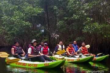 Kayak Adventure in the Second Largest Swamp of Trinidad and Tobago