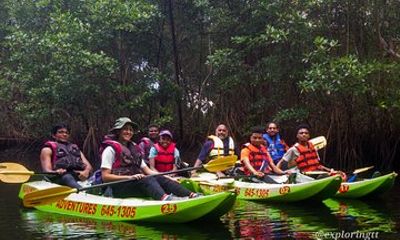 Kayak Adventure in the Second Largest Swamp of Trinidad and Tobago