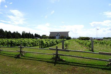 Central PEI Winery, Apiary and Mead Tasting Tour
