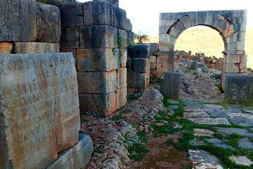 "Tiddis' Best" Tour by Fancyellow