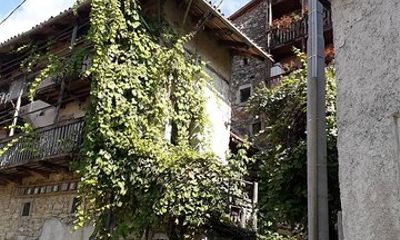 Collio Friuli Tourist Tour and Wine Tasting