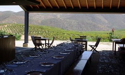 Upper Douro Walk & WineTour
