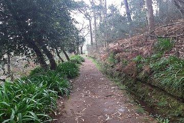 Madeira: Private Guided Walk Levada da Serra do Faial - Camacha