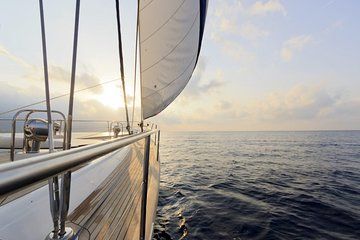 Old Plank Adventures: Sail into Deep Tranquility