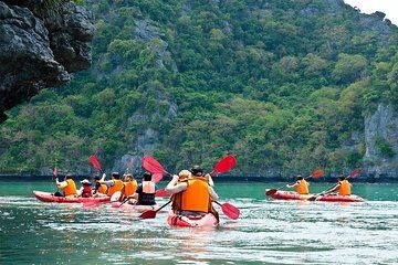 Koh Phangan Safari Tour by Speedboat from Koh Samui with Lunch