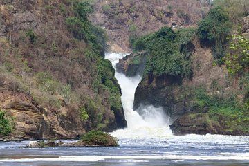 Murchison Falls Nature Safari