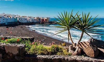 Puerto de la Cruz City Tour with Transfers