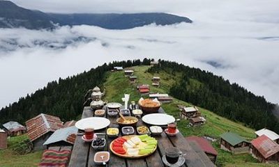 Organic Pokut Tour